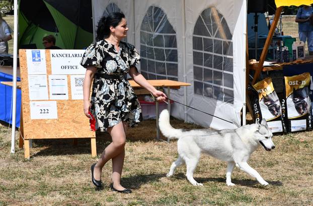 Požega: Nacionalna izložba pasa "CAC Požega 2024."