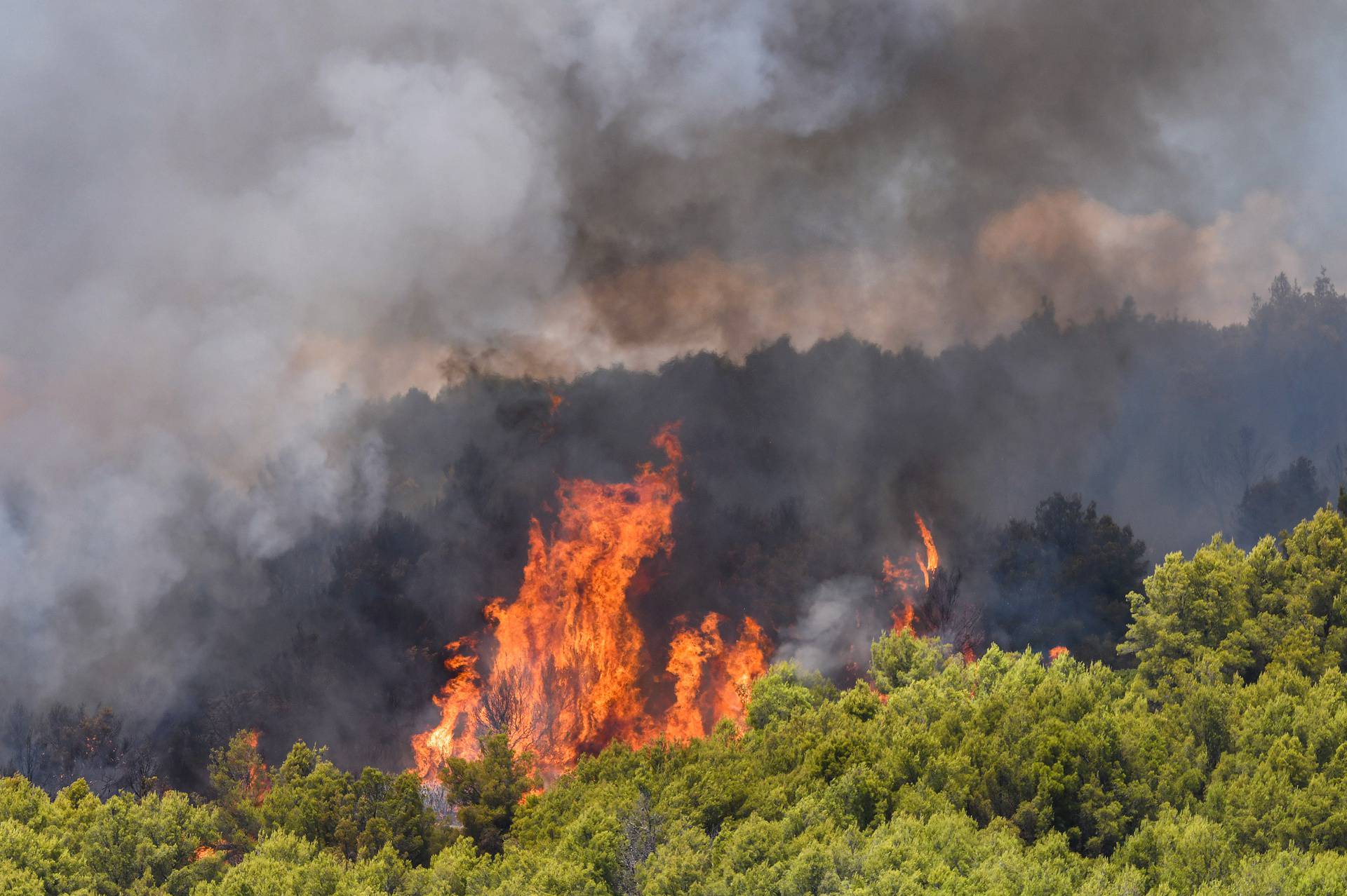 Šibenik: Gori borova šuma u blizini bolnice i obiteljskih kuća