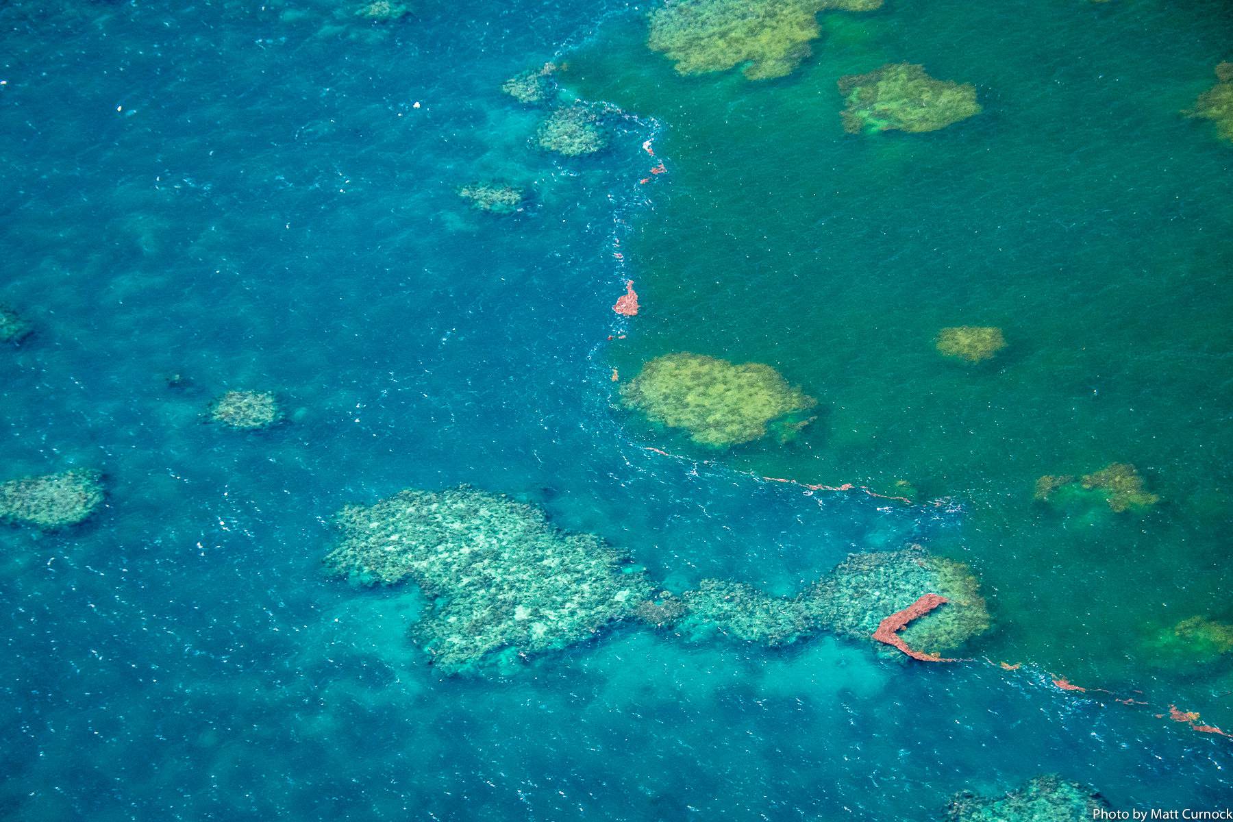 Sediment-filled water is seen in the Great Barrier Reef
