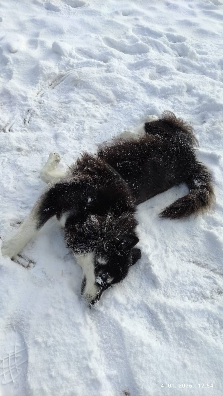 Općinska komunalka sama 'izlopatala' snijeg sa staze: 'Nema nikakve drame u tome'