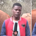 Novinar iz Kenije postao hit: Izvještavao o očuvanju slonova, usred rečenice 'zagrlila' ga surla