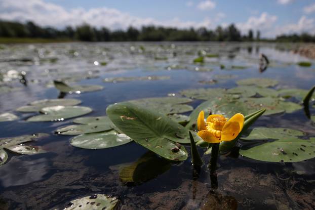 Zagreb: Uz ribolov, jezero Orešje idealno je za obiteljsku šetnju ili vožnju biciklima 