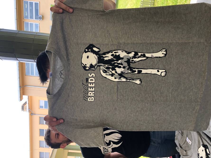 Na jednom mjestu najljepše i najpametnije pasmine pasa