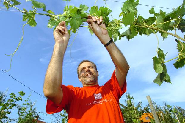 ARHIVA - 22. studenog 1955. u Grudama ro?en je Milan Bandi?