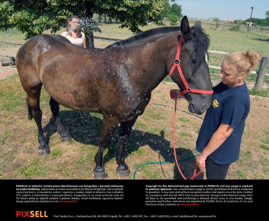 Goran Ferbezar/Pixsell