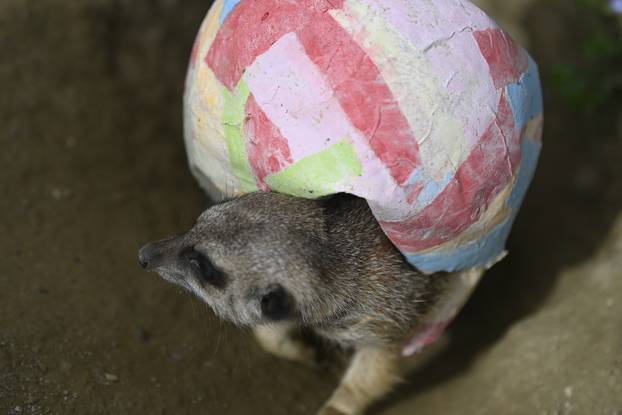 Zagreb: Podjela pisanica uz edukativni pogram za djecu u zoološkom vrtu