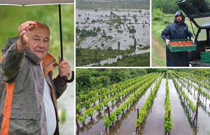 Vrgorački kraj pod vodom: Nisu samo jagode nastradale,  što ne uništi voda, uništit će trulež...