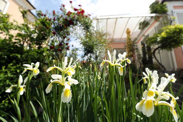 Zagreb: Ksenija Urličić u svom vrtu