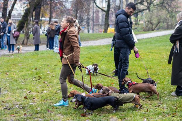 Zagreb: Adventska špica jazavčara 