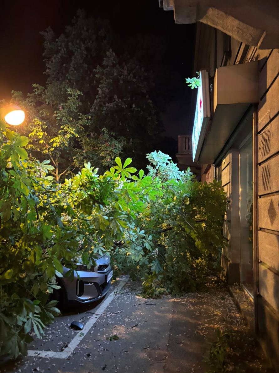 FOTO Ogromno stablo palo na auto i pločnik u Zagrebu!