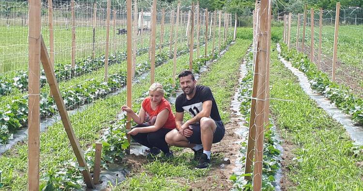 'Sada imam adrenalinski park, a sadim i prodajem krastavce...'