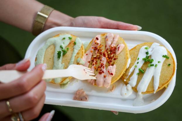 Zagreb: Započeo Palačnikafest u Rougemarin parku