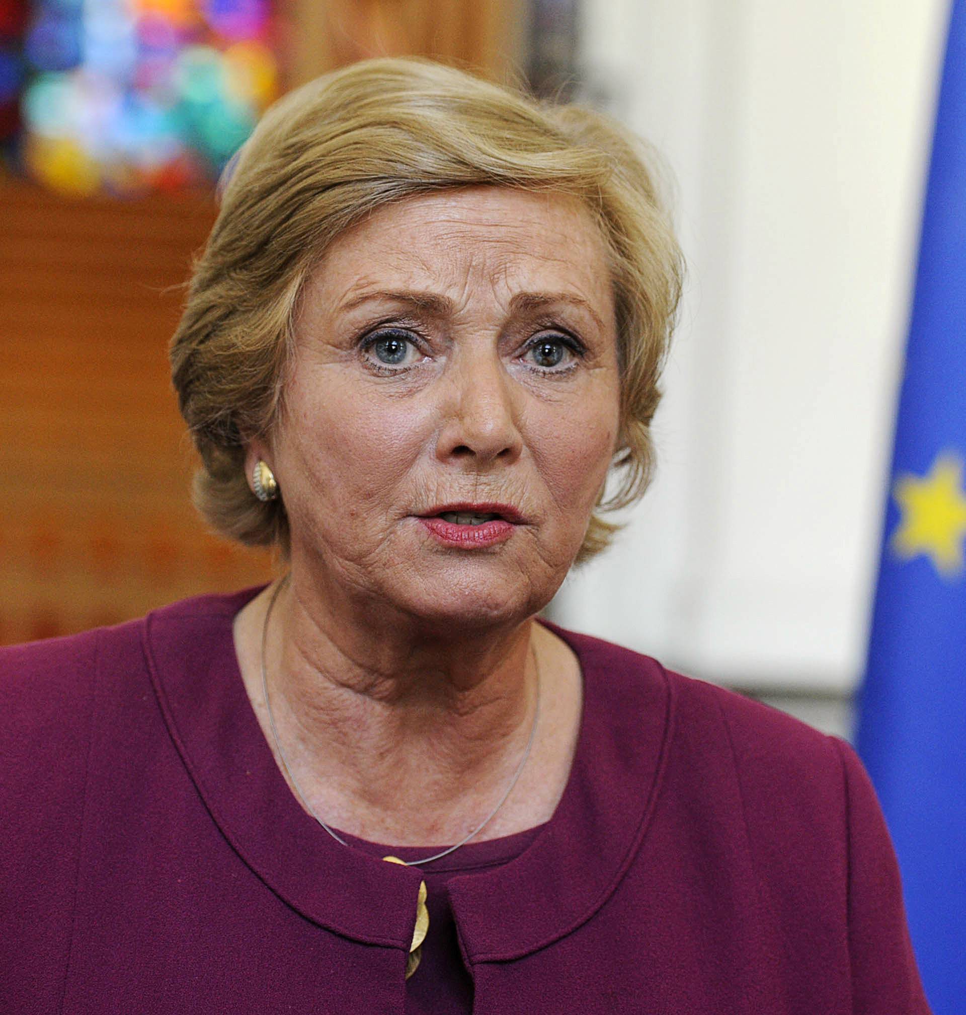 Deputy Prime Minister of Ireland (Tanaiste) Frances Fitzgerald speaks to the media at Government buildings in Dublin, Ireland