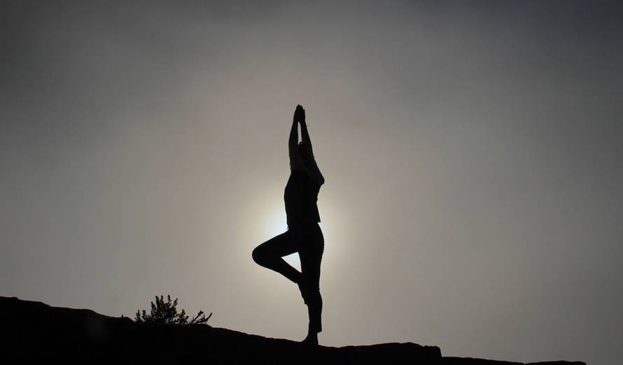 Test ravnoteže za zdravlje mozga