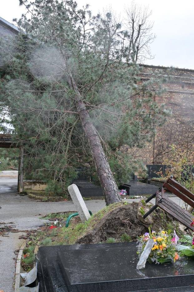 Zagreb: Teško oštećeno gradsko groblje Mirogoj