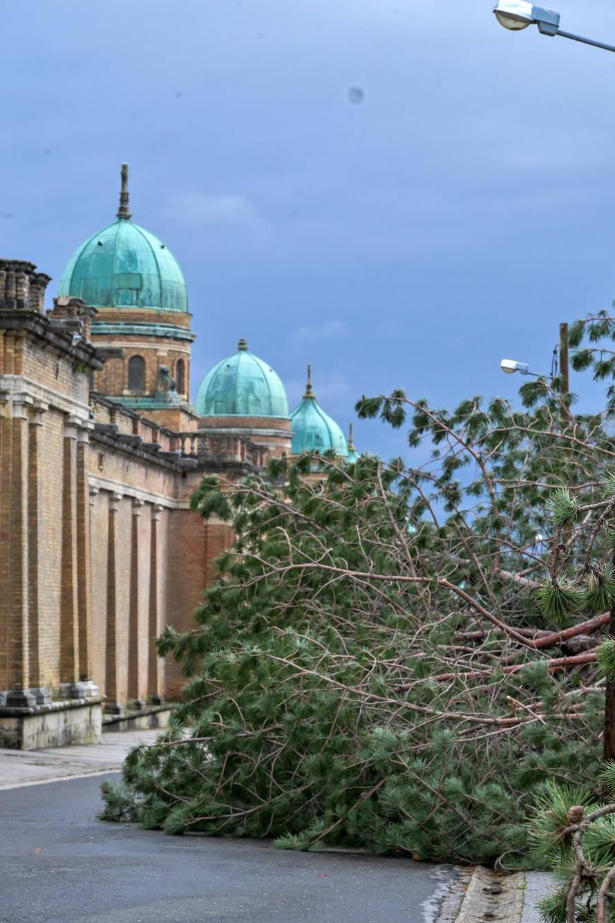 Zagreb: U nevremenu teško  oštećeno gradsko groblje Mirogoj