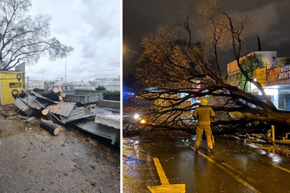 FOTO Olujno jugo u Splitu ruši sve pred sobom: Stablo palo na motore i štandove, srušen i stup