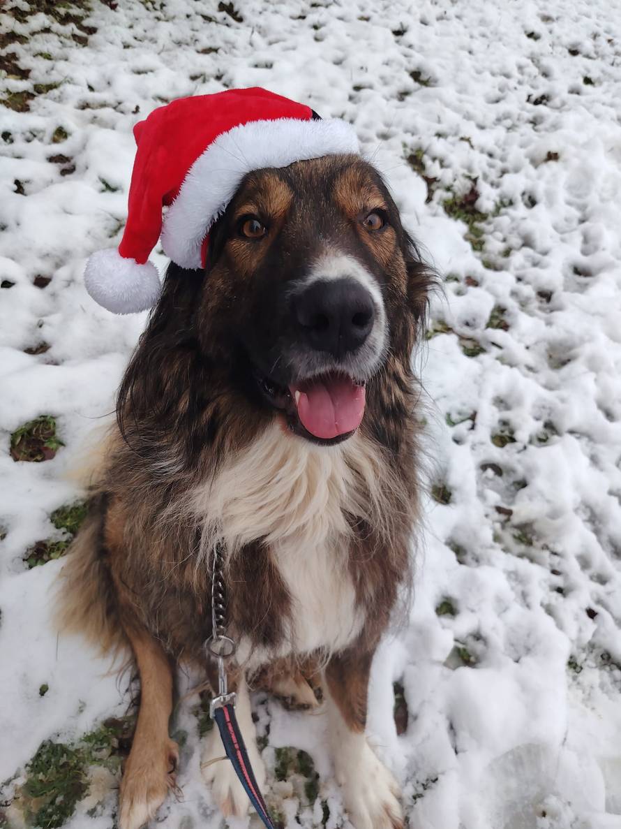 Općinska komunalka sama 'izlopatala' snijeg sa staze: 'Nema nikakve drame u tome'