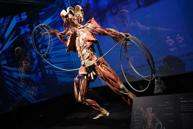 Zagreb: Konferencija uoči otvorenja izložbe seciranih ljudskih tijela Body Worlds Vital