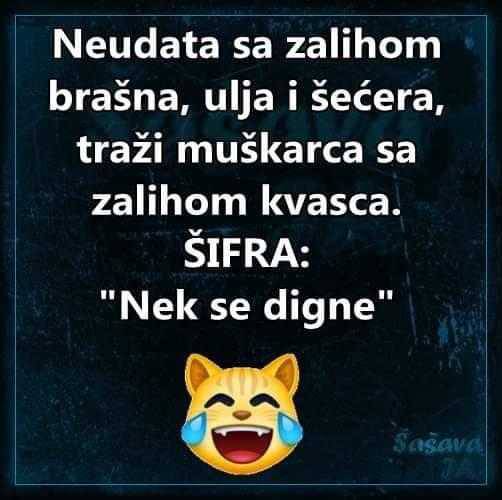 'Talijani su u karanteni, sad je vrijeme da vratimo Trst nazad'