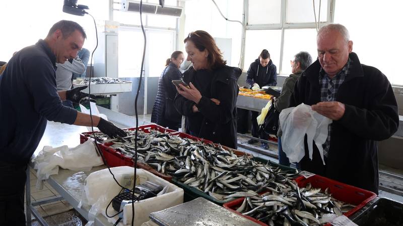 FOTO Pogledajte cijene u šibenskoj ribarnici - Unatoč plavom dizelu: Bez poskupljenja