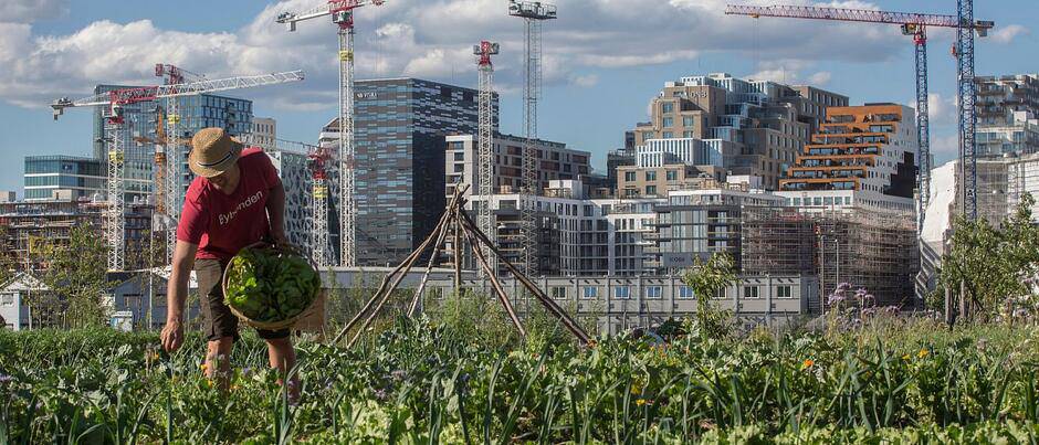 Mogu li Split i Oslo pod isti krov? Da, U HNK u Splitu na Green Future konferenciji