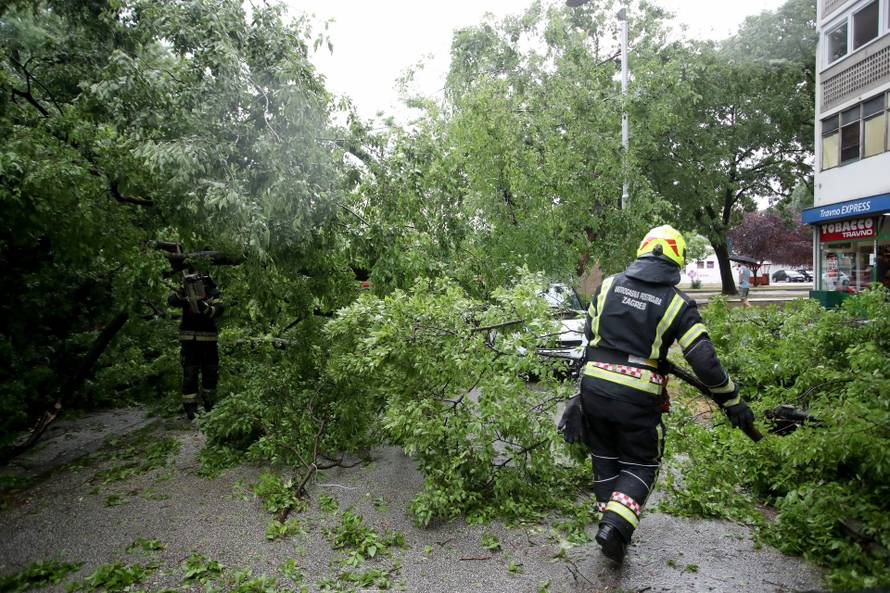 Zagreb: Na četiri automobila srušilo se stablo tijekom nevremena