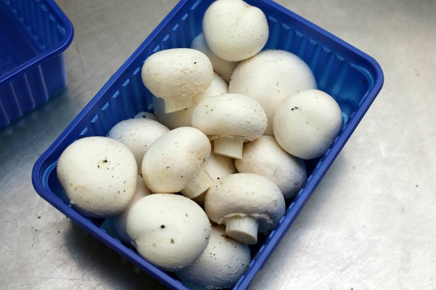 Meso zamijenite šampinjonima pa ćete biti mršaviji i zdraviji