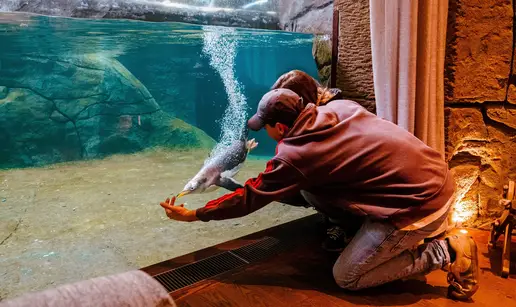 FOTO U Belgiji možete spavati u zoološkom: Evo koliko košta noć
