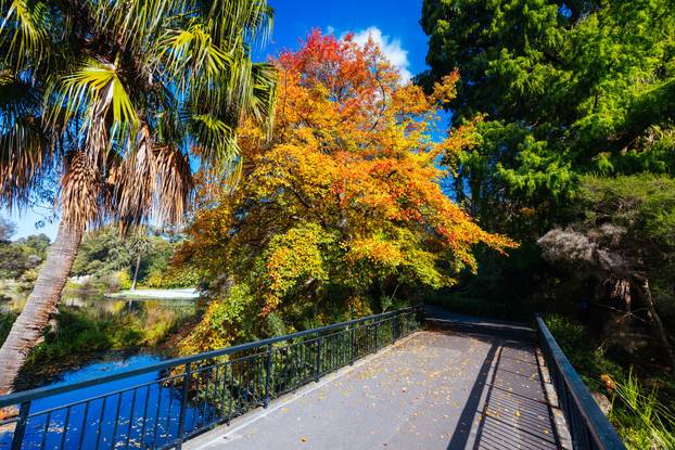 Royal Botanic Gardens in Melbourne Australia