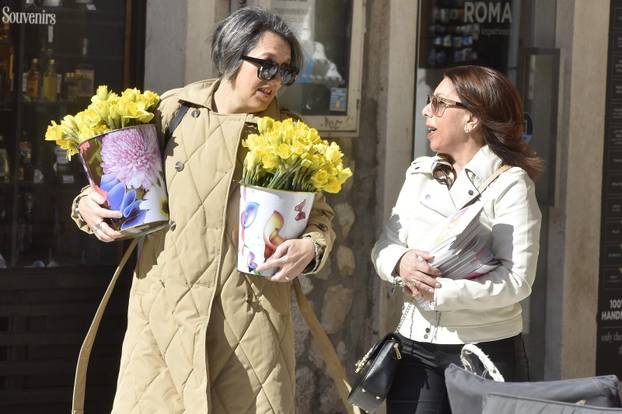 Šibenik: Liga protiv raka Šibenik obilježava Dan narcisa