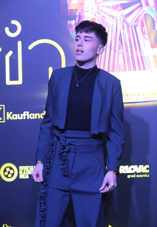 Karlovac: Dolazak uzvanika na 32. dodjelu glazbenih nagrada Porin