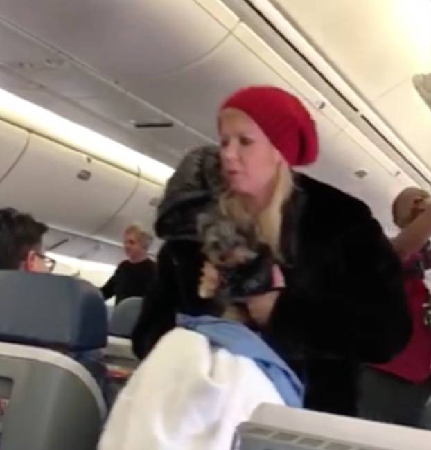 EXCLUSIVE: TARA REID Removed from Flight ... BITCHED ABOUT WRONG SEAT, PILLOW