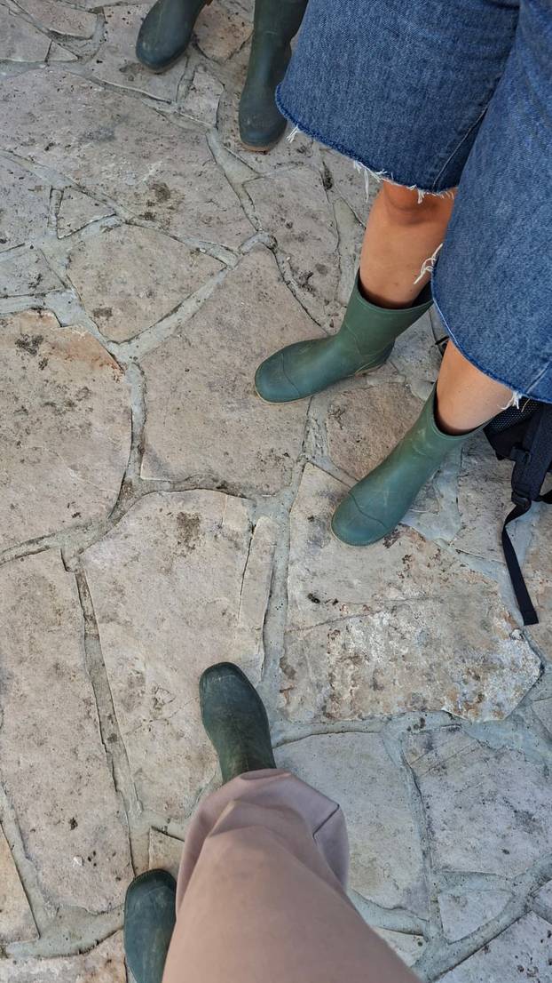 FOTO Pogledajte kako izgleda lov na tartufe u istarskoj šumi