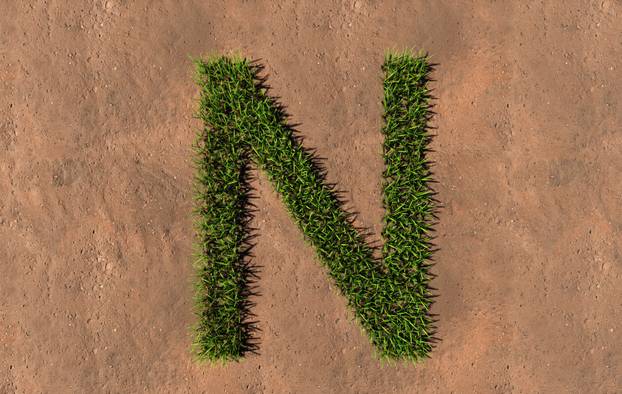 Concept conceptual green summer lawn grass symbol shape on brown soil or earth background, font of N. 3d illustration metaphor for nature, conservation, organic, growth, environment, ecology, spring