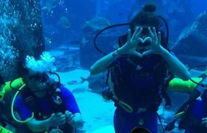 Avantura u Dubaiju: Severina i Igor zaplivali s morskim psima