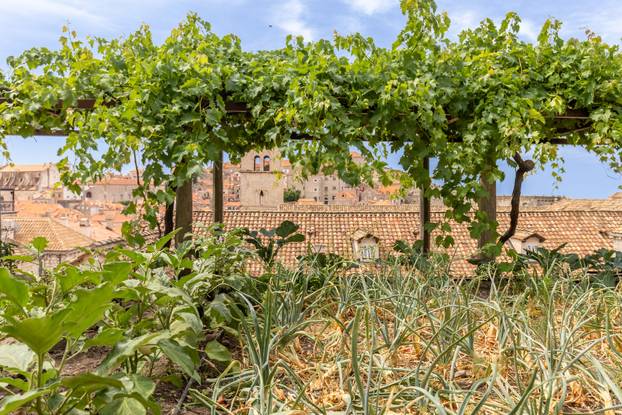 Dubrovnik: Vrtovi franjevačkog samostana