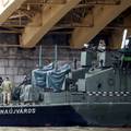 Tragedija  na Dunavu: Ronioci će pokušati zaroniti do broda