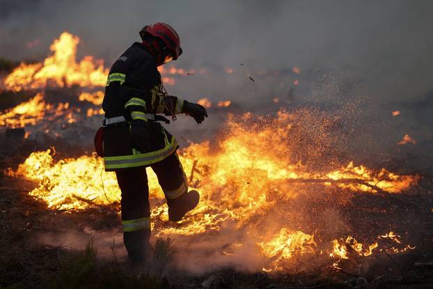 Wildfire at Ares, Grionde