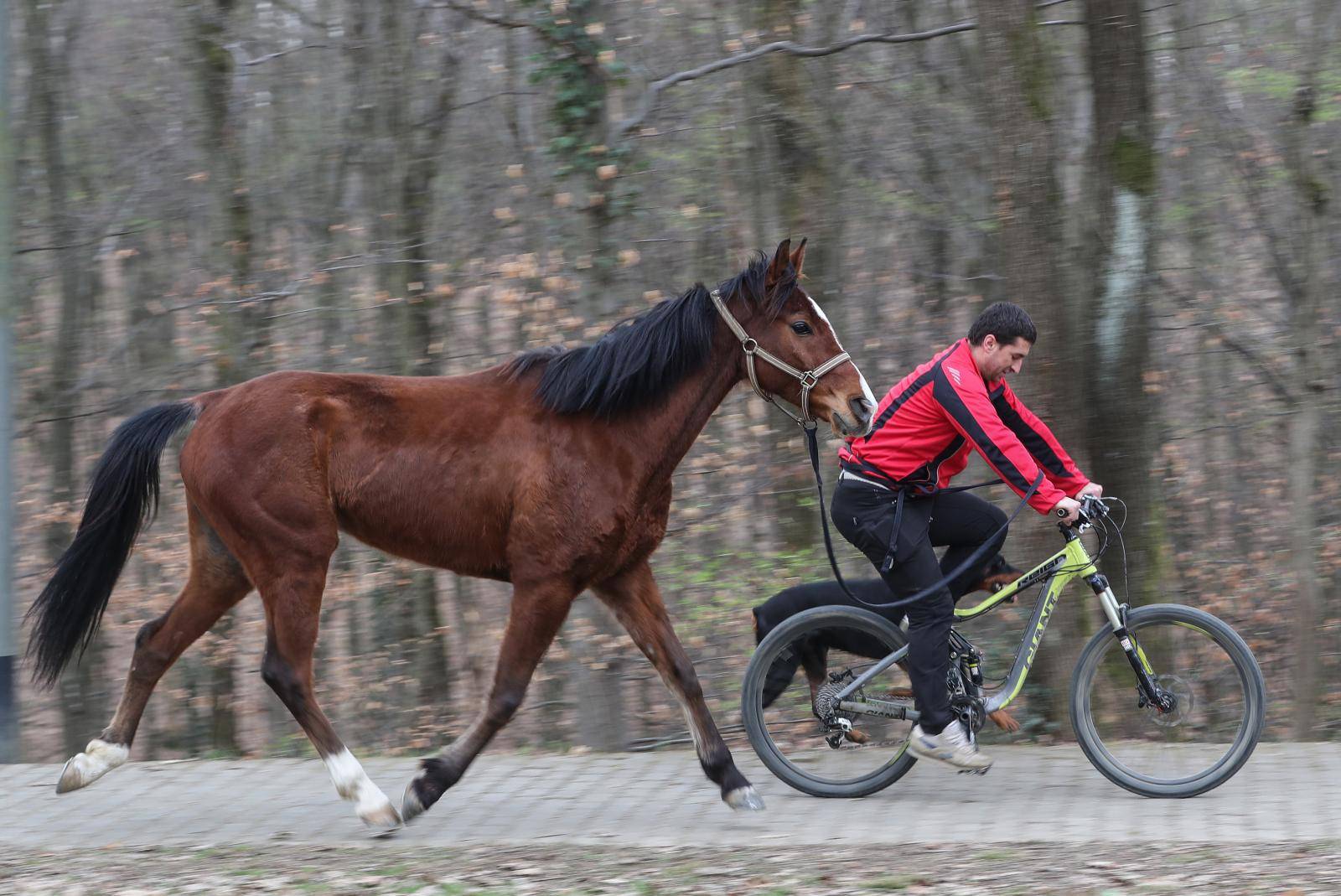 'Moj konj Kasper i ja jurimo šumama čak do 60 km na sat'