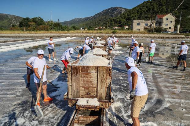 Berba soli u Stonskoj solani
