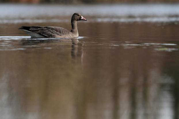 Sunčan dan na jezeru Savica