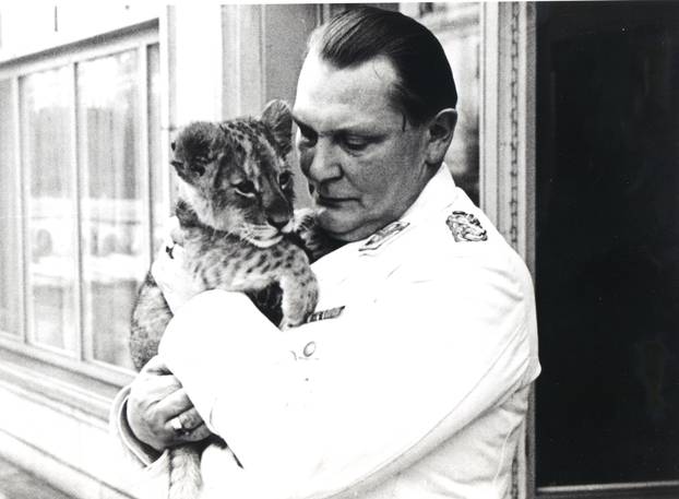 Hermann Göring mit jungem Löwen / Foto 1938