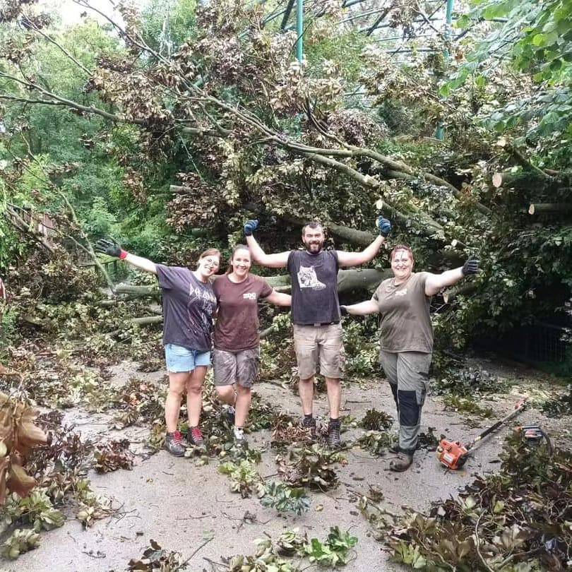 Ravnatelj Zoološkog u Zagrebu: 'Vrt je zatvoren do daljnjega, ali sve životinje su žive i zdrave!'