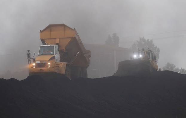 FILE PHOTO: An excavator operates at the coal terminal in Montoir-de-Bretagne near Saint-Nazaire