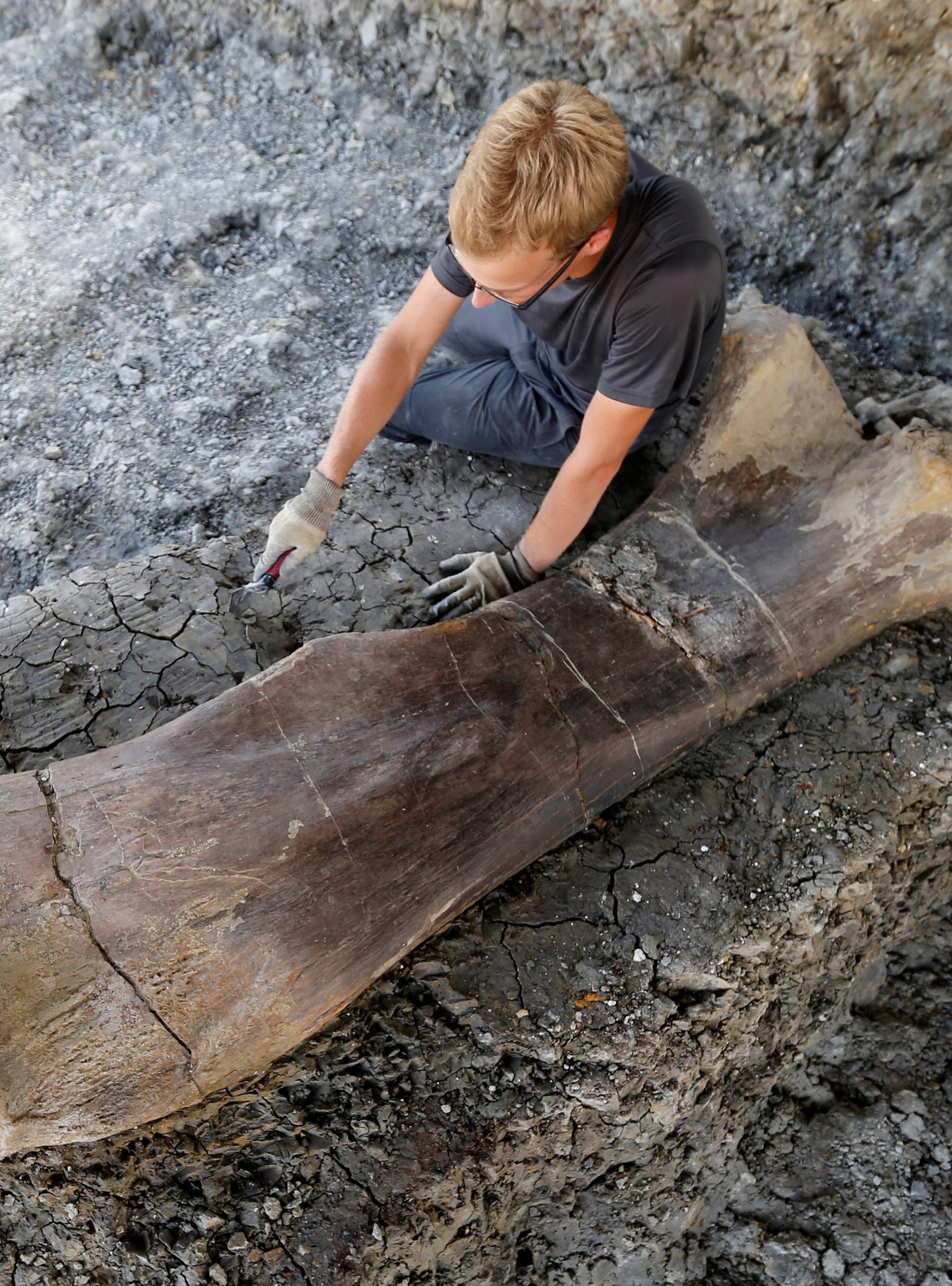 Pronašli iznimno očuvanu kost dinosaura: 'To je veliko otkriće'