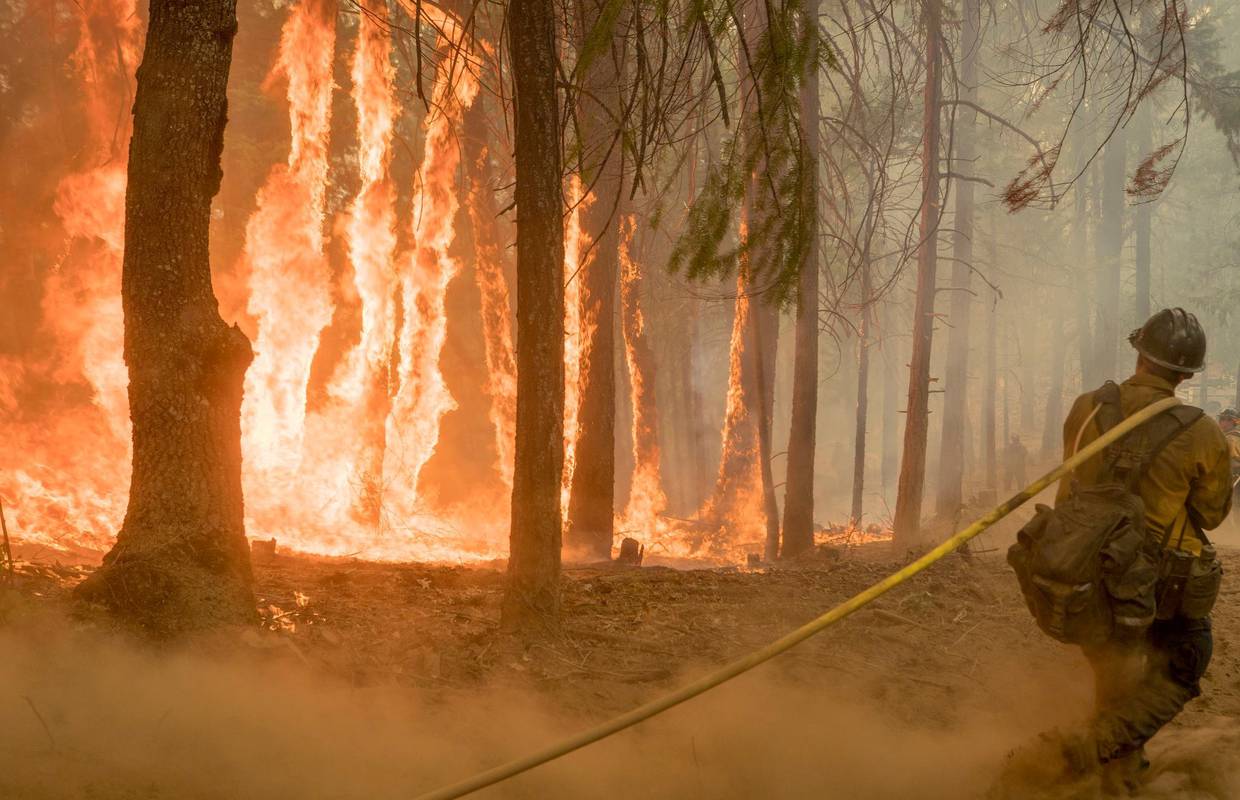 SAD u plamenu: Aktivno više od 100 velikih šumskih požara