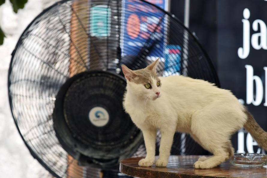 Sutra novi toplinski udar: Bit će do 38°C, u srijedu pljuskovi