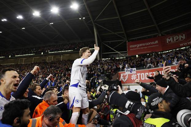 FIFA World Cup - UEFA Qualifiers - Semi Final - Wales v Bosnia and Herzegovina