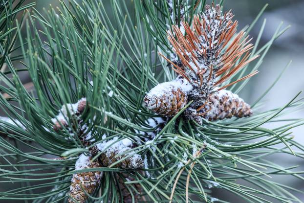 Snijeg je počeo padati i u Zagrebu